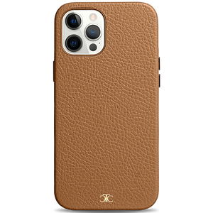 iPhone 12 Pro Max (7049823191195)